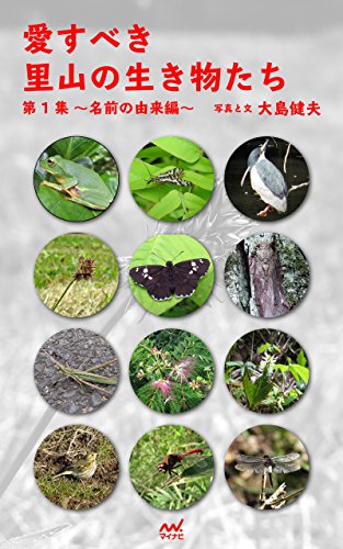 Amazon Com 愛すべき里山の生き物たち 第1集 名前の由来編 Japanese Edition Ebook 大島 健夫 Kindle Store Amazon Com 愛すべき里山の生き物たち 第1集 名前の由来編 Japanese Edition Ebook 大島 健夫 Kindle Store