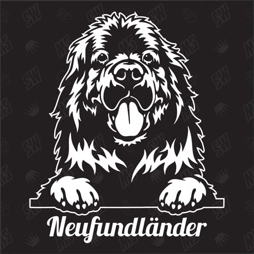 Neufundländer Version 1 - Sticker, Aufkleber, Hundeaufkleber, Autoaufkleber, Hund, Auto, Hunderassen, Mischling, Mix, Tiere, Haustier (AUCH MIT Wunschname MÖGLICH)