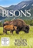 Bisons Im Wilden Westen