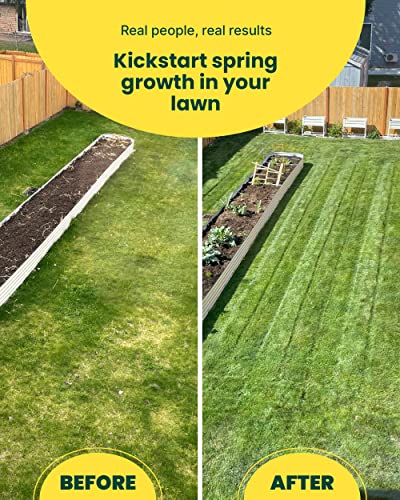 Sunday Lawn Kickstart Fertilizer, 42.3Oz - Lawn Fertilizer For Lawn Improvement - Includes Universal Sprayer Attachment - Covers Up To 5,000 Sq Ft - Easy Application In 15 Minutes Or Less - Boost Your Lawn's Health Today! #TOP2