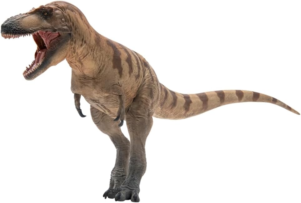 Prehistoric Dinosaur Models (73 Cole The Daspletosaurus)