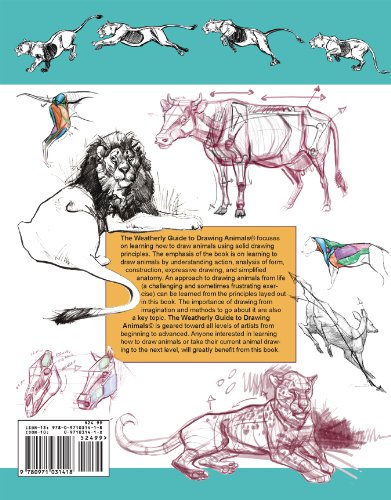 The Weatherly Guide to Drawing Animals - Image 2