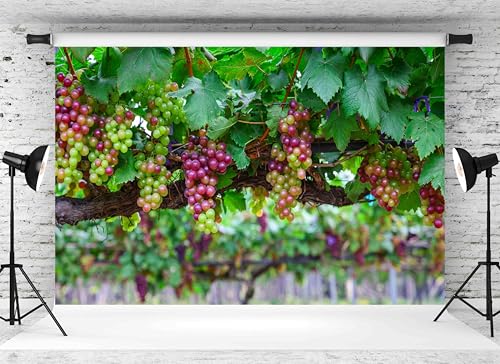 Fondo Fotográfico Tema Uvas 7x5FT Colorido miniatura 2