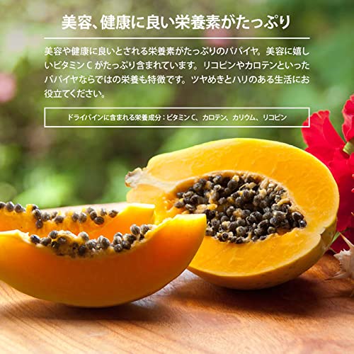 [前田家] ドライパパイヤダイス 450g 贅沢ドライフルーツ 女性に嬉しい果物サプリメント ビタミン、食物繊維、カロテン など豊富 お徳用 家庭用 業務用 5枚目