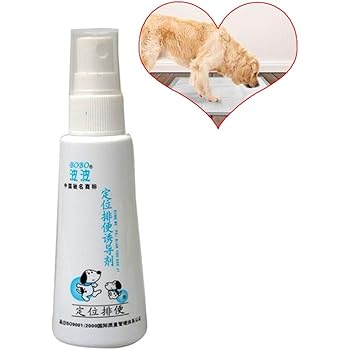 puppy items for sale