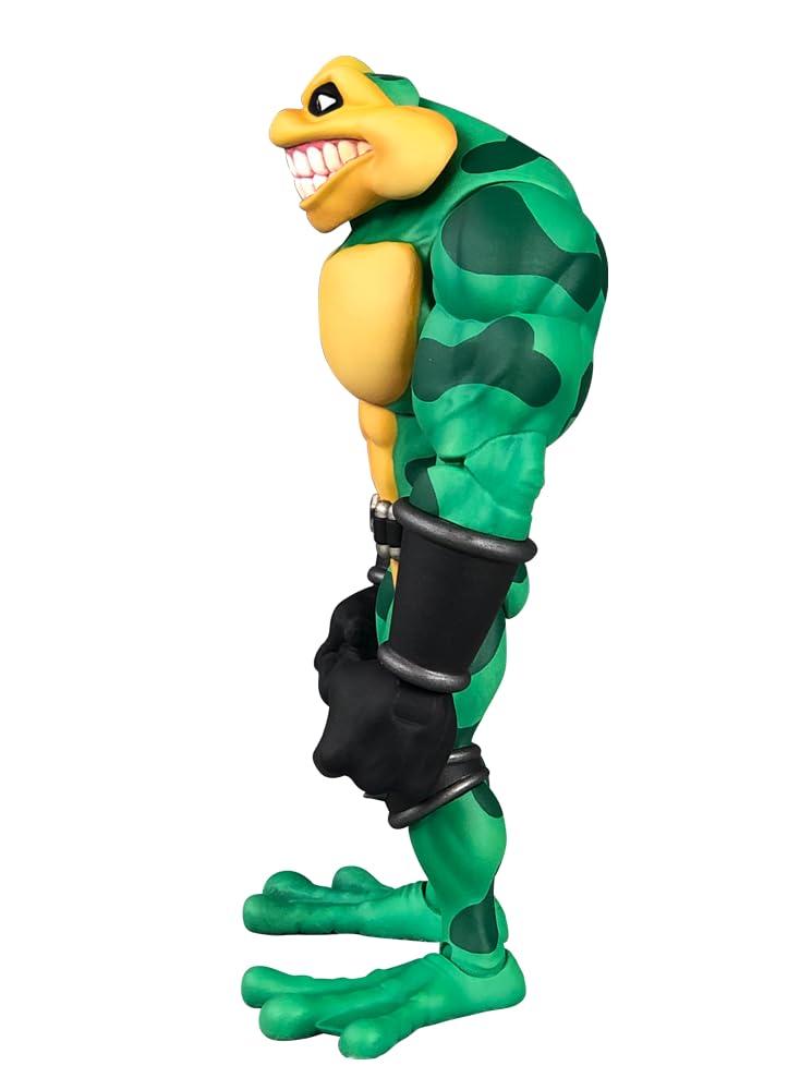 Amazon.com: Premium DNA Toys Battletoads Anthology Series