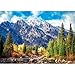 Trefl - Square Box - Grand Teton National Park - 1000 Piece Jigsaw Puzzle 27
