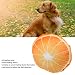 Firlar Obst-Plüsch-Hundespielzeug, Lustiges, Attraktives Kauspielzeug für Haustiere Zum Waschen der Zähne, Niedliches, Interaktives, Weiches, Bissfestes, Quietschendes(Orange)