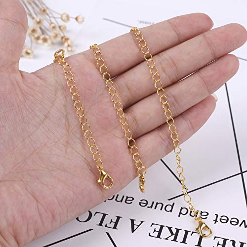 Paxuan 12Pcs Stainless Steel Necklace Bracelet Anklet Chain Extender Chain Set Jewelry Extenders 2'' 4'' 6'' (12Pcs) #TOP5