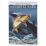 Lantern Press Olympic National Park, Washington, Trout Fishing Cross-Section, 12x18 Inch Art Print, Home Decor