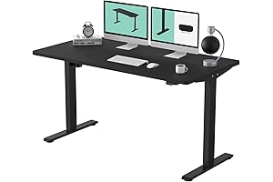 FLEXISPOT 55 x 28 Standing Desk