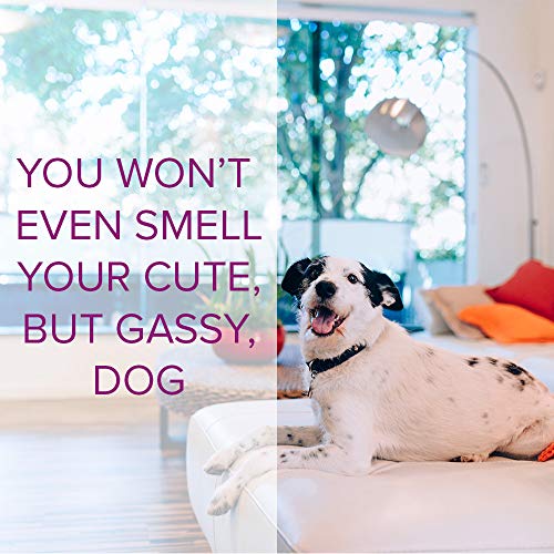 Image of Clorox Fraganzia Plug-In Refill in Spring Scent, 2 Pack | Scented Oil Air Freshener Refills | Easy Way to Make Your Home Smell Beautiful and Neutralize Odors, Spring, 0.7 Fl Oz