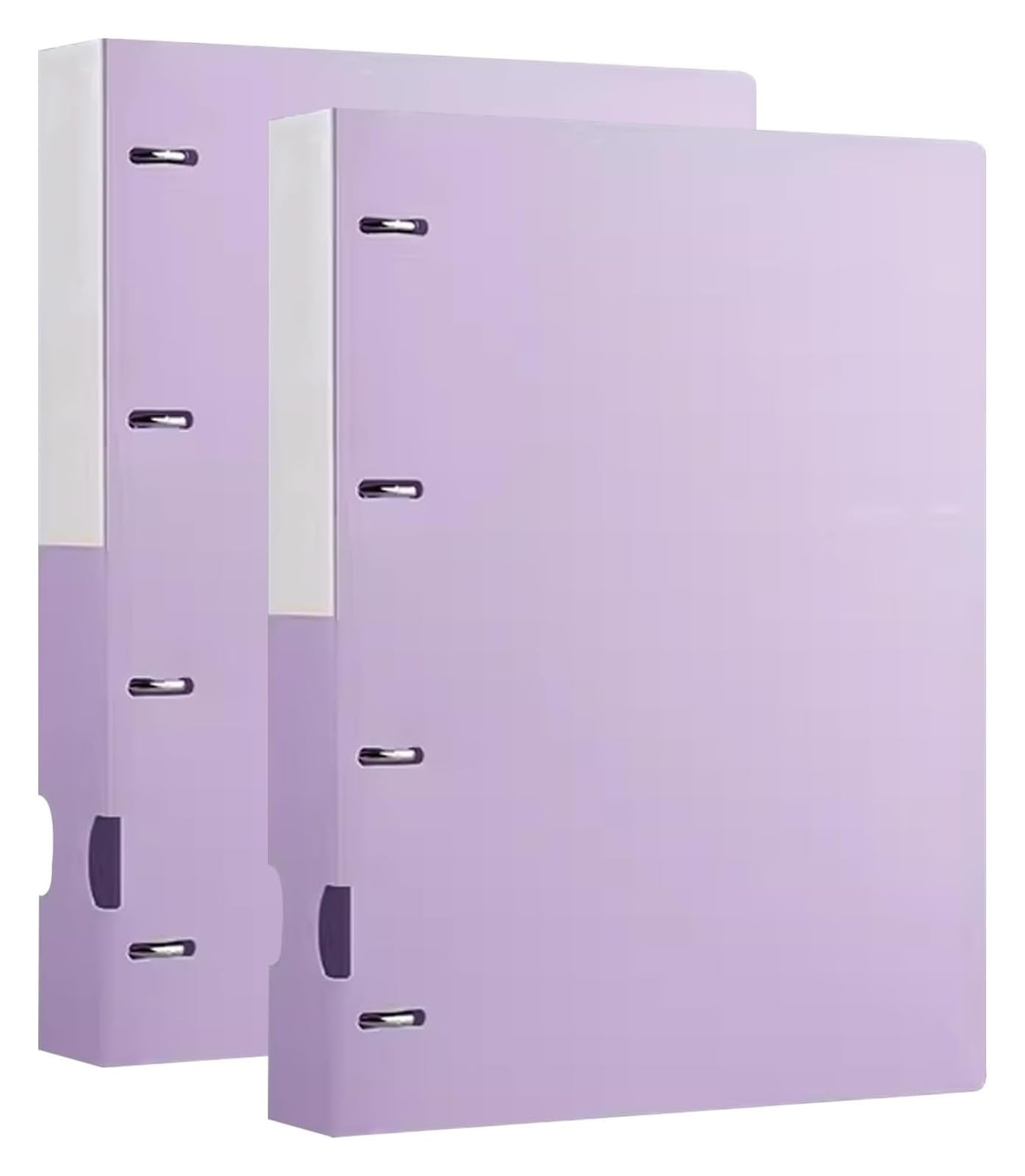 Cartelle, Cartelle di file Raccoglitore A4 2 tasche for libri con display da 100 fogli