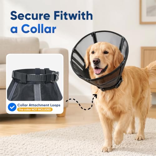 Image of Dog Cone Collar Soft Liner to Stop Licking Surgery Recovery Alternative