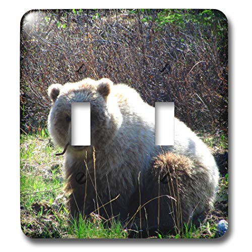 Interrupteur à bascule double 3dRose lsp_21587_2 Grizzly Yukon - 2
