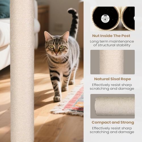 Jouet interactif pour chat avec poteau à griffer en sisal robuste - 3