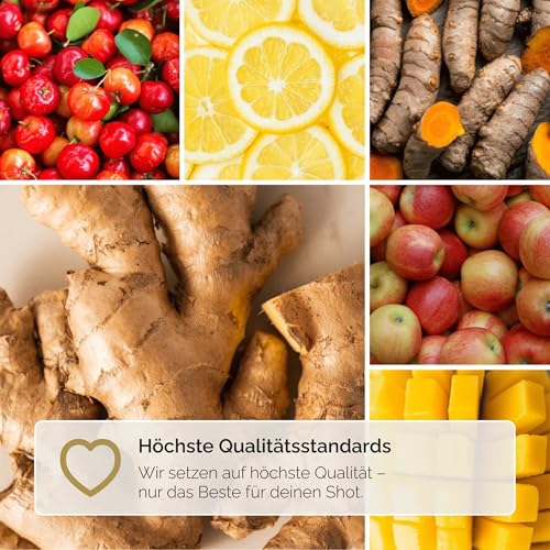 Hansegrün - Bio Ingwer Kurkuma Shots (60 Stk.) - Veganes Superfood-Pulver für Immungsystem¹ & Energiestoffwechsel² - Kurkuma, Zitronenschale & Acerola - 100% echte Zutaten zur täglichen Zubereitung