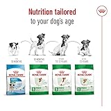 Royal Canin Mini Adult 8+ | 800 g | Alleinfuttermittel für ältere Hunde kleiner Rassen | Ab dem 8. Lebensjahr | Abgestimmter Energiegehalt und angepasste Krokettengröße