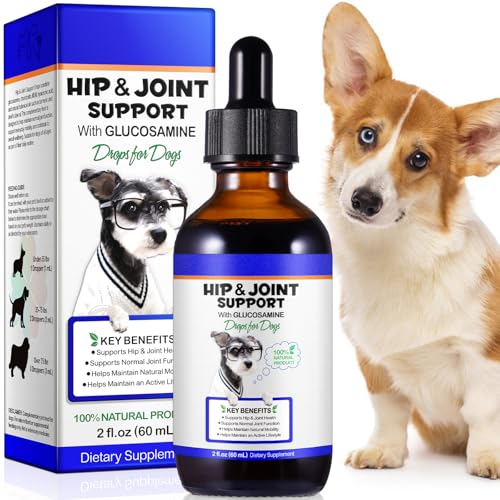 Smddx Liquid Supplement for Dogs with Glucosamine, 60ml - Support for Daily Activity & Flexibility