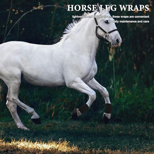 Botas antimoscas para caballos para evitar picaduras e irritación 7