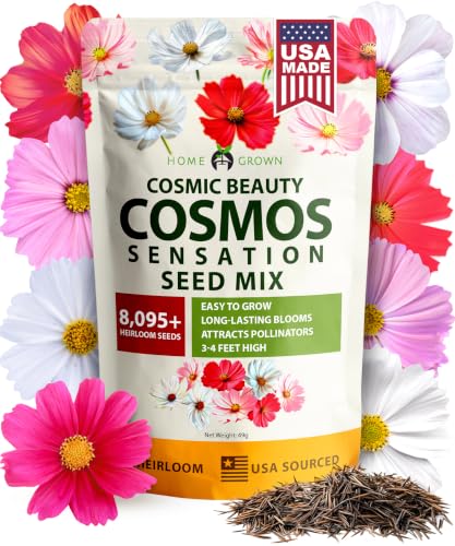 HOME GROWN Cosmos Flower Seeds Bulk Pack for 2026 (1.8 oz) 8,000+ Heirloom Annual Wildflower Seeds...