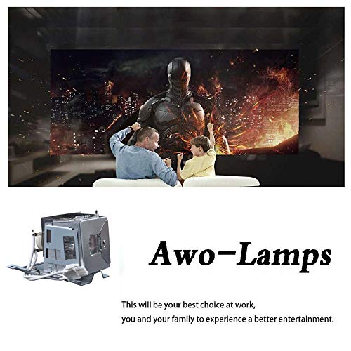 Awo Original Projector Lamp Bulb 5J.jg705.001 / Xx5050002200 With Housing Fit For Benq Mh503Fhd,Mh530Fhd,Mh535Fhd,Mh534,Mh535,Ms531,Ms535,Mw526Ae,Mw533,Mw535,Mx532,Mx535,Th534,Th535,Tw533,Tw535,W1050,W1050S,Ht1070A For Vivitek Ds262,Dx262,Dh268,Dw265,Dw282St,Dx281St,Dx263 #TOP2