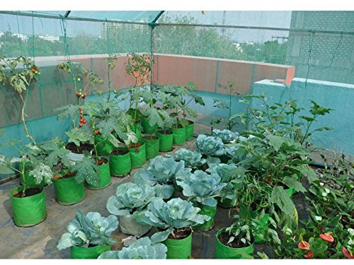 Image of Bio Blooms Agro India Pvt. Ltd. HDPE Plant Grow Bags 9x9 Inch for Terrace Gardening | Pack of 5 | Green & Orange Color | Outdoor Use