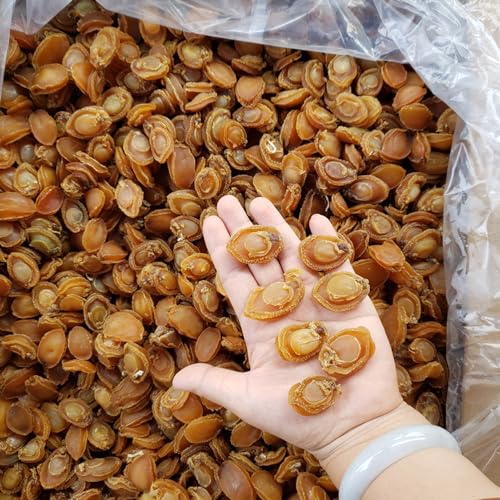 Chewyz Dried Abalone thumb #3