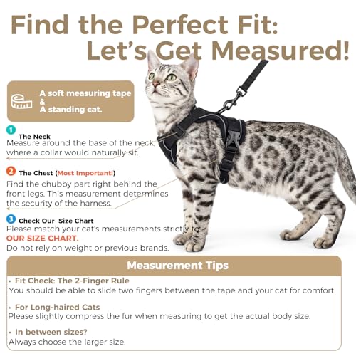 Cat Harness and Leash Set, Escape Proof Cat Vest, Black, L | Fully Adjustable, Soft Breathable Mesh, Reflective Strips, Snap Buckles, No-Pull Easy Control, for Medium & Large Cats - Image 3