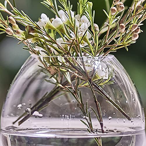 Chive ‘George’ Glass Bottle Flower Vases — Set Of 6 — Small, Elegant Clear Glass Bud Vases — Bulk Pack For Home Decor & Table Centerpieces — Shape 3 (Oval, 3” Tall, 3” Wide) #TOP5
