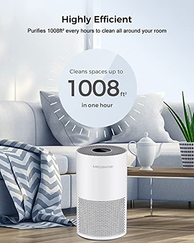 https://m.media-amazon.com/images/I/51R83xHadPL._SL500_.jpg