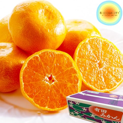 P[X  Lc݂ LcsF݂ v`it@[}[ _ ݂ a̎RY 5kg S`M ݂ ~J  t[c ʕ ʎ  Ε Mtg  j j 䋟 yBOz[_̗Lc݂ 5kg