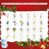 Flower Advent Calendar 2025, 24 Days Flower Bouquet Christmas Countdown Advent Calendar with 24 Flower Model Building Decoration, Bouquet Blocks Advent Calendar for Kids Adults Teens (Daisy) - Image 7