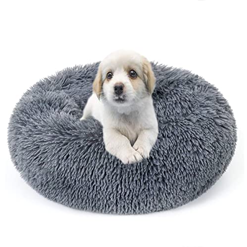 Cama para Perros y Gatos, Cama para Dormir Perros y Gatos con cojín Suave, Cómodo Suave y Cálida Cama para Gatos y Perros pequeños y medianos, Antideslizante, Lavable a Máquina(60 X 60CM, Gris Oscuro) Cover