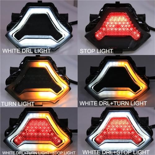 Freno luces trasero LED para rutas nocturnas seguras en moto R3 7