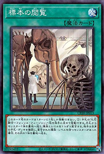 Amazon.co.jp: 遊戯王カード 標本の閲覧(ノーマル) COLLECTION