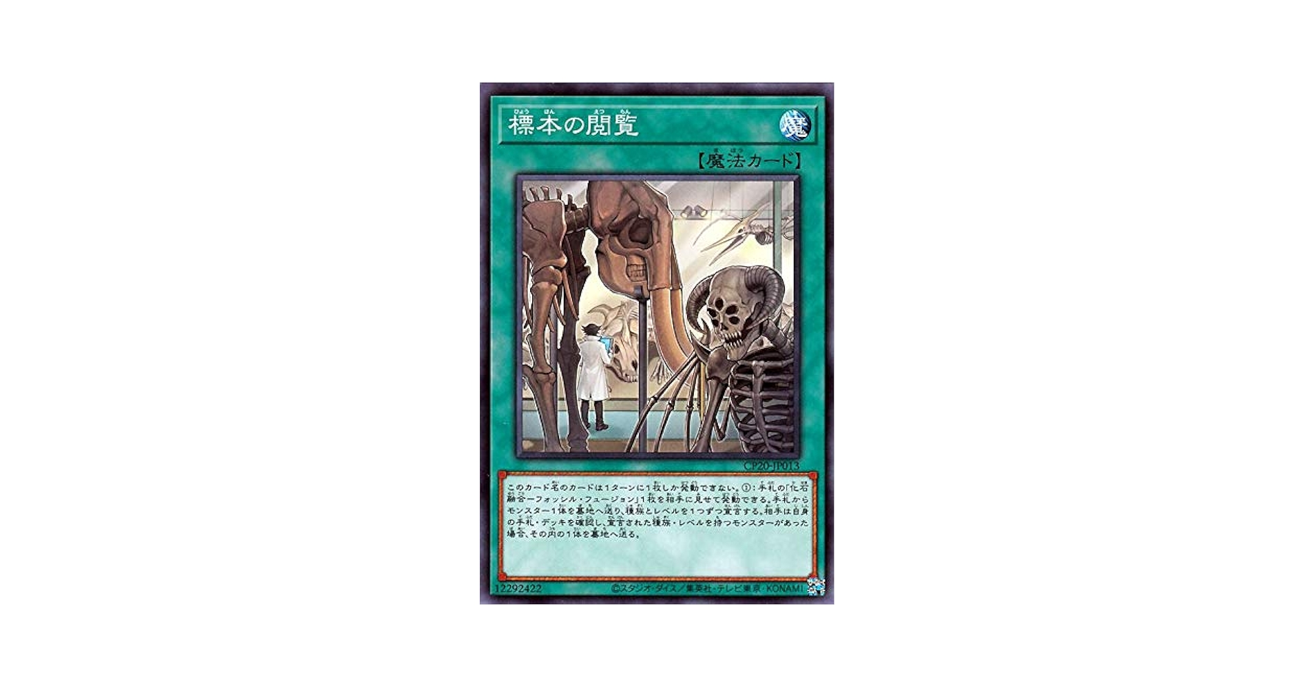 Amazon.co.jp: 遊戯王カード 標本の閲覧(ノーマル) COLLECTION