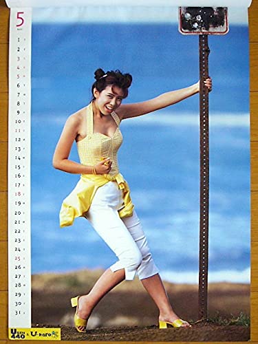 Amazon.co.jp: 1997年 雛形あきこ カレンダー ヒナコレ : 文房具 