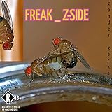 She Hates Me (Tattoo) [Explicit]