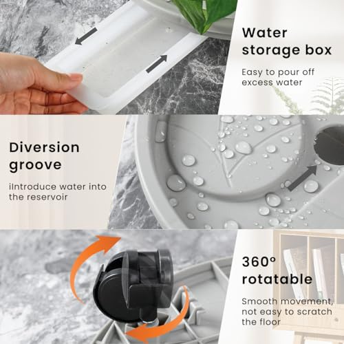 Image of HASTHIP Plant Stand with Wheels 26cm Round Pot Trolley for Big Pots | Sturdy Movable Stand for Heavy Pots, Smooth Wheels for Easy Shift, Thick Build for Indoor Outdoor Use
