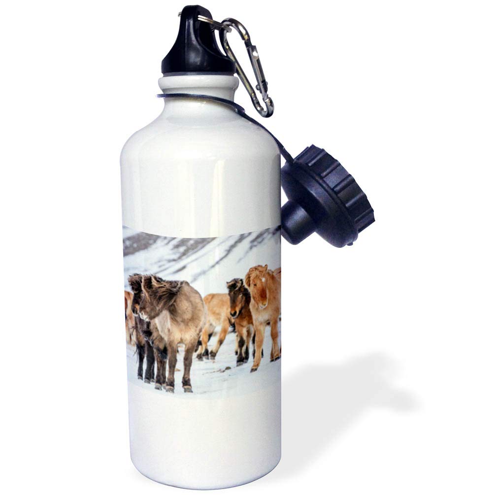 3dRose wb 257669 1 Horses in Winter Pasture Near Hofn Iceland Water Bottle