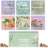 Folkulture Backflow Incense Cones Set 60 Cones | Natures Whisper Cones for Meditation & Aromatherapy | Charcoal Free, Non Toxic | Frankincense, White sage & Sandalwood Fragrance Home Decor Gift