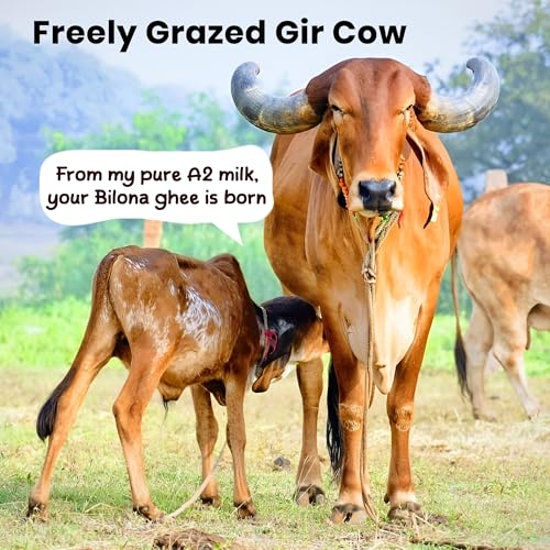 Image of Desert Native A2 Gir Cow Vedic Bilona Cultured Ghee, 1000ml | Pure & Traditional, Glass Bottle
