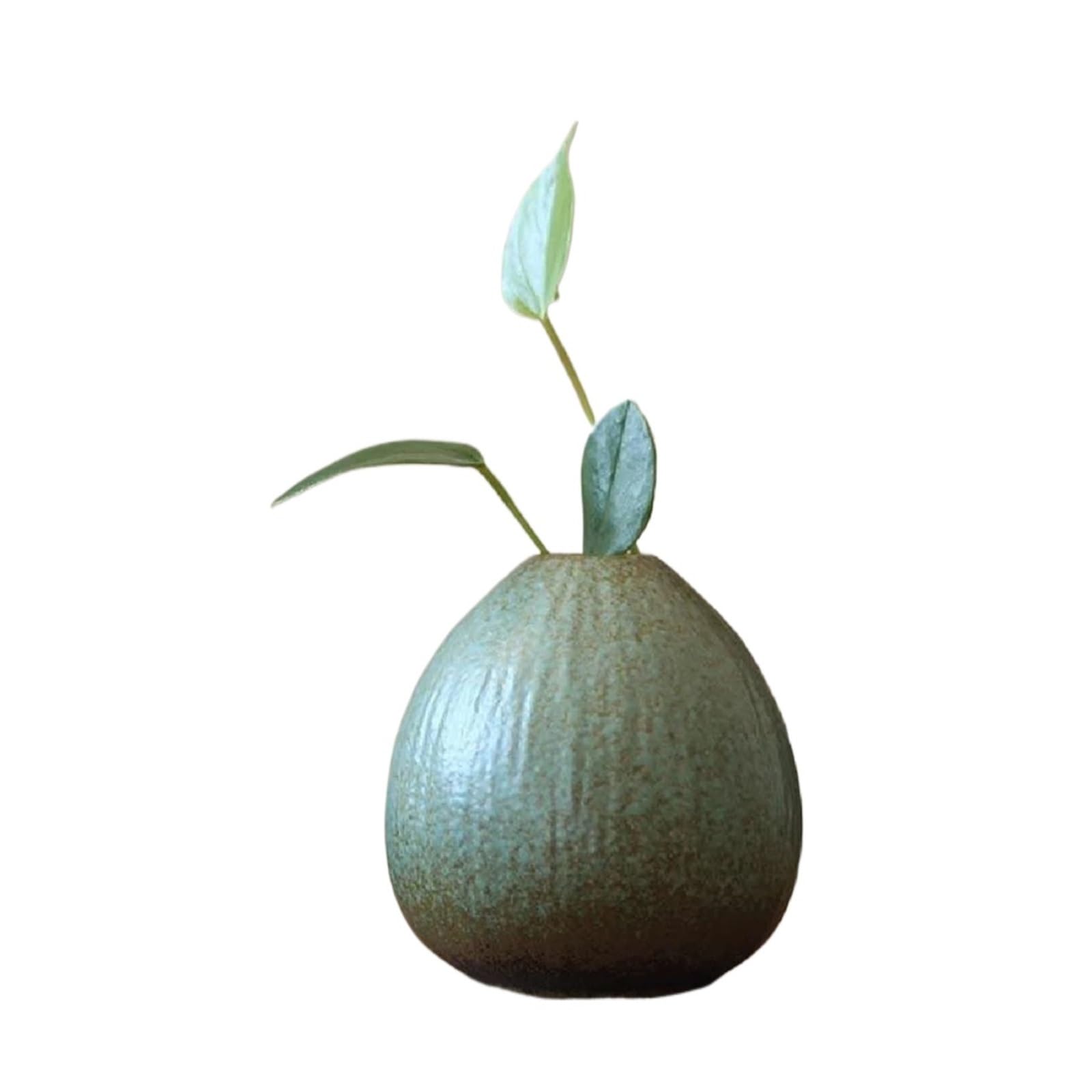 Simple Ceramic Vase Decoration, Living Room Home Dining Table, Hydroponic Plant Small For Living Room, Office, Wedding(Type5)