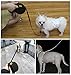 Retractable Dog Leash 16ft, Strong Durable Walking Leash Large Medium Small Dogs 110lbs, Comfortable Anti-Slip Handle Reflective Ribbon Cord One Hand Operation YujueShop