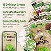 Rooted Acre 15 Variety Lettuce & Salad Greens Seeds Pack – 3,000 Heirloom 𝗡𝗢𝗡-𝗚𝗠𝗢 𝗨𝗦𝗔 Seeds for Hydroponic, Indoor & Outdoor Planting – Romaine, Arugula, Spinach, Kale & Butter Lettuce #3