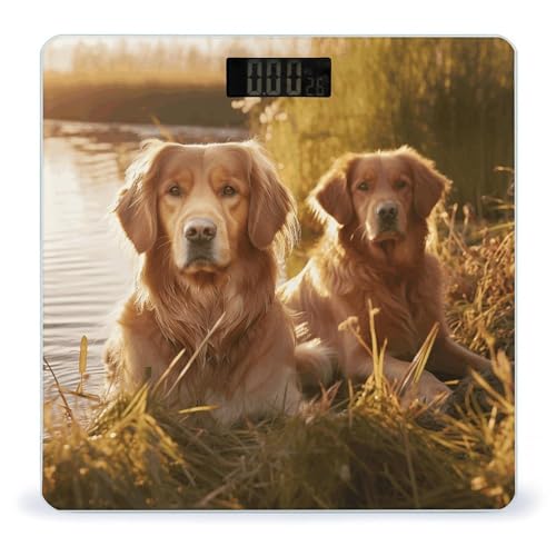 Báscula digital para baño con diseño de dos golden retrievers miniatura 1