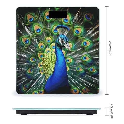Báscula digital Blue Peacock para peso corporal miniatura 2