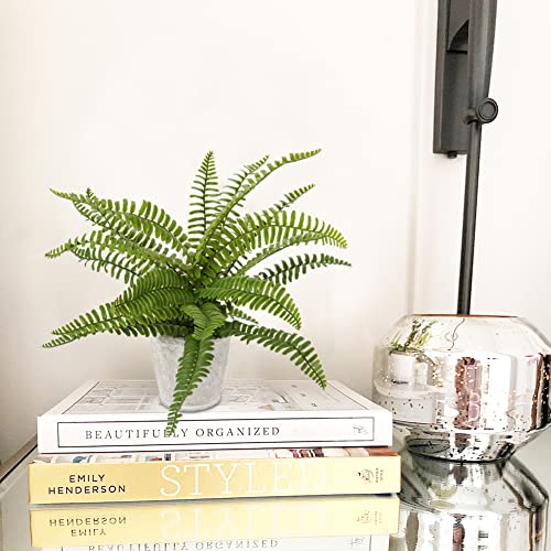 Briful Small Fake Plant Artificial Potted Plants Decor Set Of 2 Faux Boston Fern Plants In Pots For Home Table Office Desk Bathroom Shelf Living Room Farmhouse Decoration #TOP3