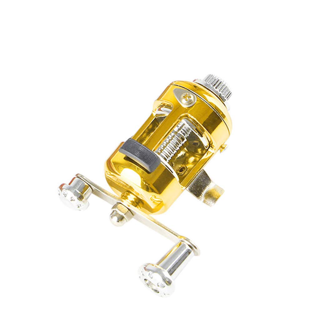 Mini Canna Da Pesca Telescopica Tascabile Portatile A Forma Di Penna Canna Da Pesca Piegata Con Ruota A Mulinello - Foto 6